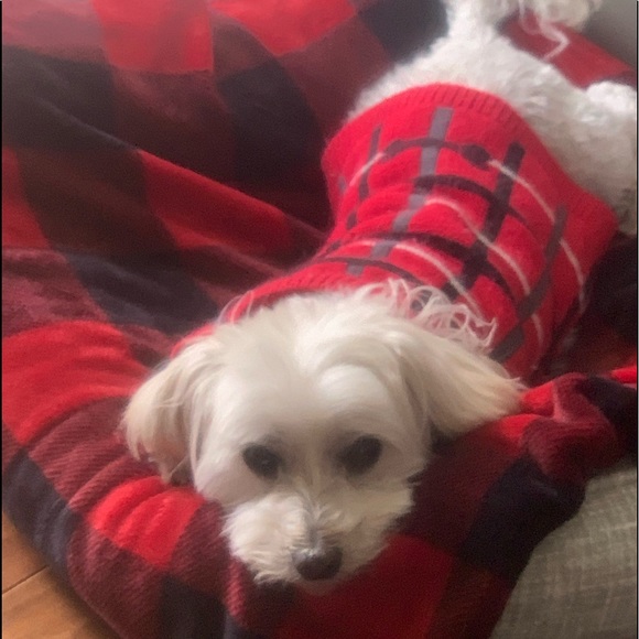 Meet your Posher, Caroline - Picture 2 of 3